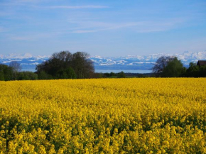 Отель Apartment Lake Constance  Маркдорф